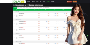 Community Interaction and Engagement